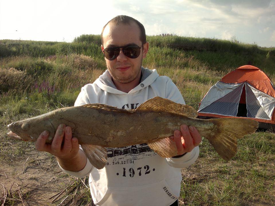 anul ce-a trecut... - tavalit bine